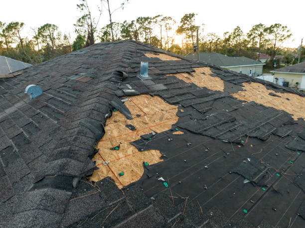 Best Skylight Installation and Repair  in Youngstown, OH